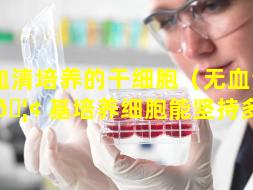 无血清培养的干细胞（无血清培养 🦢 基培养细胞能坚持多久）